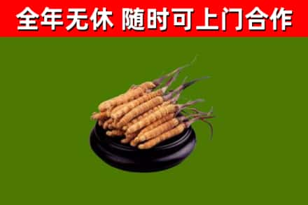 黄南回收冬虫夏草